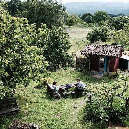 Torre Tanquian Eco Finca - Ribeira Sacra Pantón Dış mekan fotoğraf