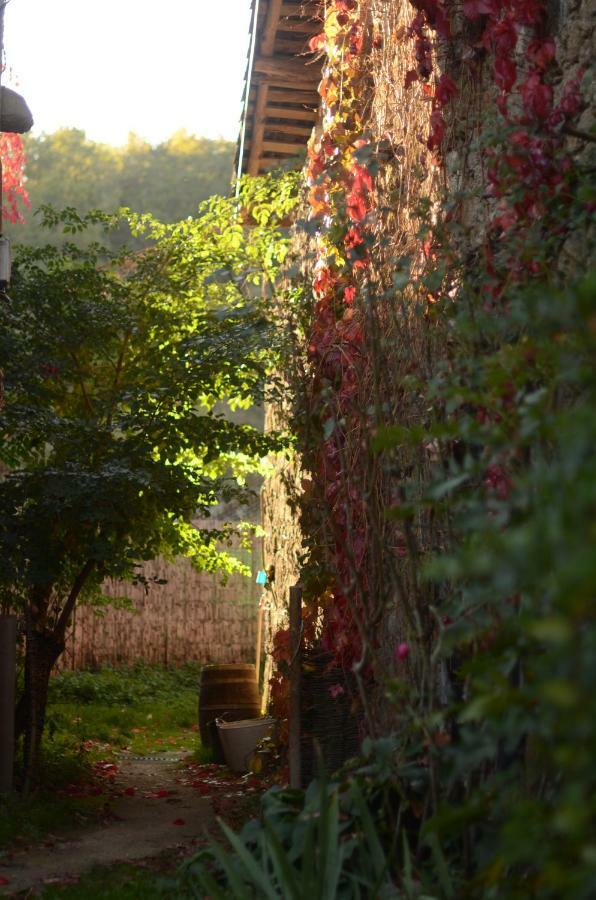 Torre Tanquian Eco Finca - Ribeira Sacra Pantón Dış mekan fotoğraf
